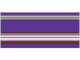 c_color13 c_color13