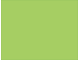 Green 4 Green 4