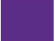 Purple 1 Purple 1