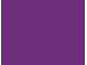 Purple 2 Purple 2