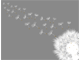 Happy Flowering Happy Flowering
