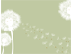 Happy Flowering Happy Flowering