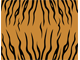 Wild Pattern Wild Pattern