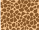 Wild Pattern Wild Pattern