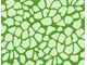 Wild Pattern Wild Pattern