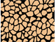 Wild Pattern Wild Pattern