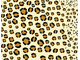 Wild Pattern Wild Pattern