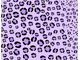 Wild Pattern Wild Pattern