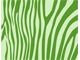 Wild Pattern Wild Pattern