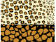 Wild Pattern Wild Pattern
