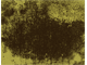 color texture color texture