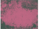 color texture color texture