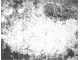 color texture color texture