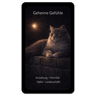 Samtpfoten Herzbotschaften